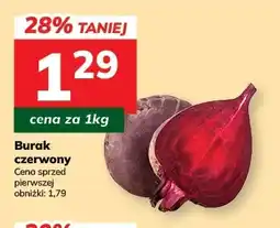 Hitpol Buraki czerwone oferta