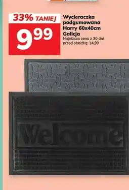 Hitpol Wycieraczka podgumowana Harry 60x40 cm Galicja oferta