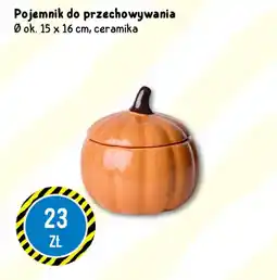 Tedi Pojemnik do przechowywania oferta