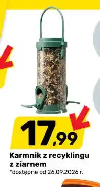 Bricomarche Karmnik z recyklingu z ziarnem oferta