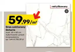 Bricomarche Gres szkliwiony Ontario oferta