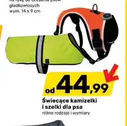 Bricomarche Świecące szelki dla psa oferta