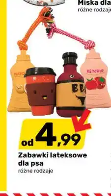 Bricomarche Zabawki lateksowe dla psa oferta