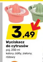 Bricomarche Wyciskacz do cytrusów oferta