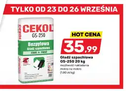 Bricomarche Gładź szpachlowa GS-250 Cekol oferta