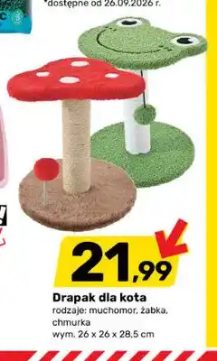 Bricomarche Drapak dla kota chmurka oferta
