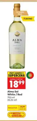 Biedronka Wino białe Alma Sol White oferta