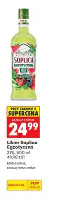 Biedronka Likier Soplica Egzotyczna kaktus arbuz oferta