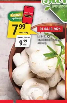 Arhelan Pieczarki polskie oferta