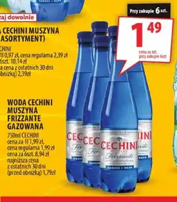 Arhelan Woda gazowana Cechini Muszyna Frizzante oferta