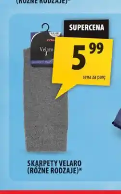 Arhelan Skarpety Velaro oferta