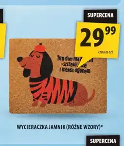 Arhelan Wycieraczka Jamnik oferta