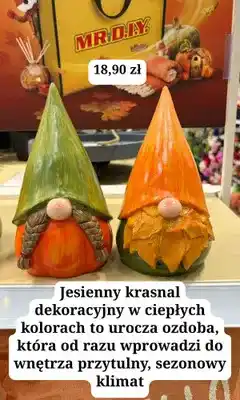 MR. DIY Krasnal jesienny dekoracyjny MR.DIY oferta