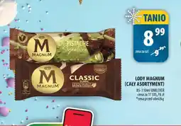 Arhelan Lody Magnum oferta