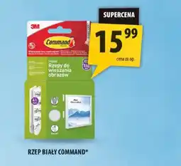 Arhelan Rzep biały Command oferta