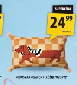 Arhelan Poduszka pompony oferta