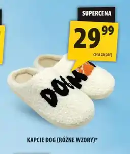 Arhelan Kapcie Dog oferta