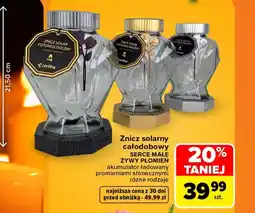 Carrefour Znicz Cortina oferta