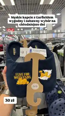 Pepco Kapcie męskie Garfield oferta