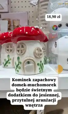MR. DIY Kominek zapachowy domek-muchomorek oferta