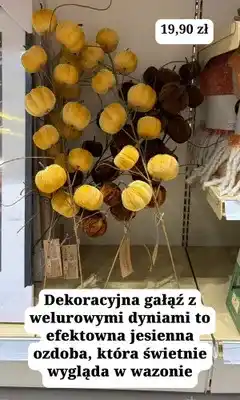 MR. DIY Gałąź dekoracyjna z welurowymi dyniami Home & Styling Collection oferta