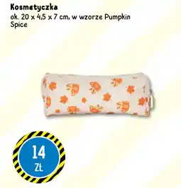 Tedi Kosmetyczka w wzorze Pumpkin Spice oferta