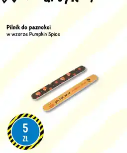 Tedi Pilnik do paznokci w wzorze Pumpkin Spice oferta