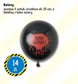 Tedi Balony oferta
