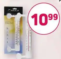 Bliski Termometr do wody Galicia Caldo oferta