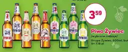 Bliski Piwo Żywiec oferta