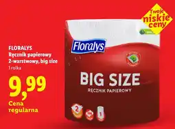 Lidl Ręcznik papierowy Floralys Big Size oferta