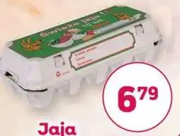 Bliski Jaja oferta
