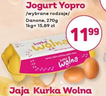 Jaja Kurka Wolna