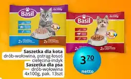 Specjał Saszetka dla kota drób-wołowina, pstrag-łosoś cielecina-indyk oferta