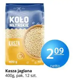 Specjał Kasza jaglana Koło Młynskie oferta