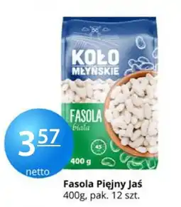 Specjał Fasola Piękny Jaś oferta