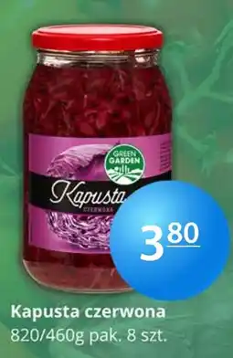 Specjał Kapusta czerwona oferta