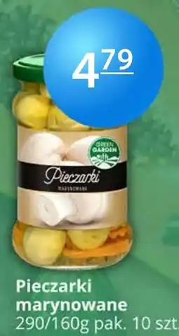 Specjał Pieczarki marynowane oferta