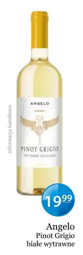 Specjał Angelo Pinot Grigio białe wytrawne oferta