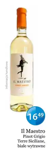 Specjał Il Maestro Pinot Grigio Terre Siciliane, białe wytrawne oferta