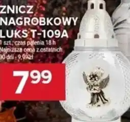 Stokrotka Znicz nagrobkowy luks T-109A oferta