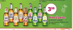 Bliski Piwo Żywiec oferta