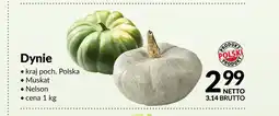 Makro Dynia Nelson oferta