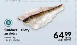 Makro Sandacz filety ze skórą oferta