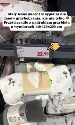 Lidl Prześcieradło z gumką Livarno z nadrukiem w grzybki oferta
