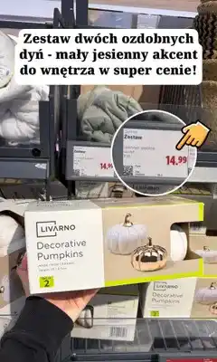 Lidl Dynie dekoracyjne Livarno oferta