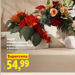 Lidl Wiązanka Goliat oferta