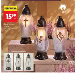Biedronka Wkład parafinowy Lumia oferta