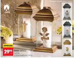 Biedronka Wkład parafinowy Lumia oferta