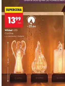 Biedronka Wkład led do zniczy Cortina oferta